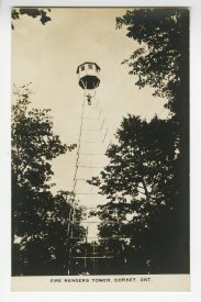 Postcard, Picture